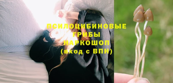 jwh Алзамай