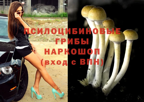 jwh Алзамай