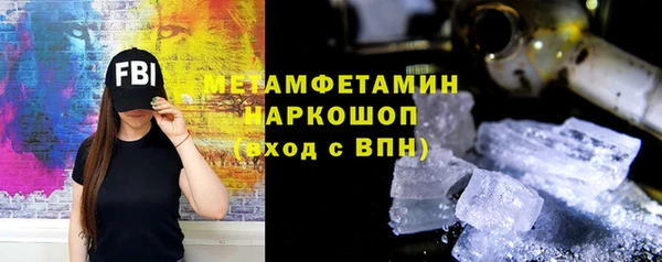 сатива Кулебаки